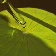 natural-extraction-scientist-drop-essence-for-pla-2023-11-27-05-26-31-utc-scaled-1.jpg
