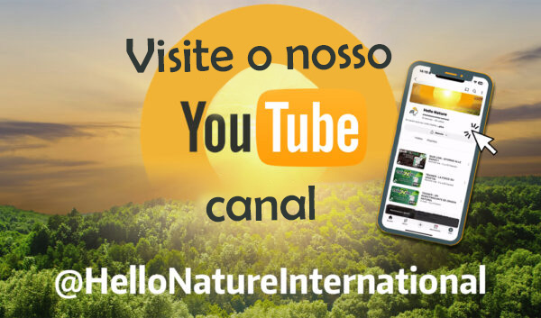 Canal do YouTube da Hello Nature com vídeos sobre bioestimulantes, nutrição vegetal e agricultura sustentável