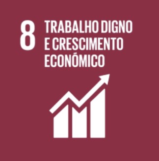 Ícone do Objetivo de Desenvolvimento Sustentável 8: Trabalho Digno e Crescimento Econômico