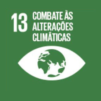 Ícone do ODS 13: Ação Contra a Mudança do Clima