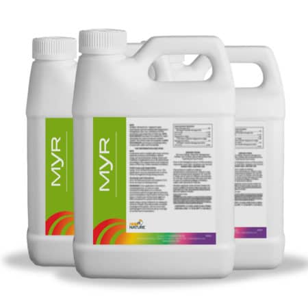 Myr Boron biostimulant improves fruit set and plant fertility