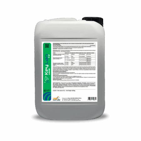 Keylan fe Liquid can