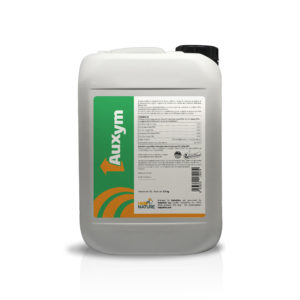 Bidon Auxym 5L