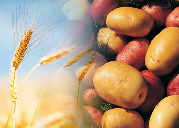HELLO NATURE INVESTIT SUR L’INNOVATION AVEC 102 ESSAIS EN GRANDES CULTURES