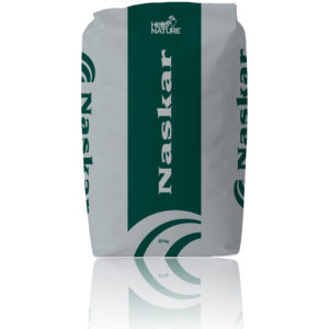 Sac Naskar