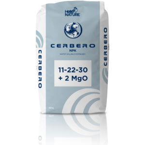 Sac Cerbero 11-22-30