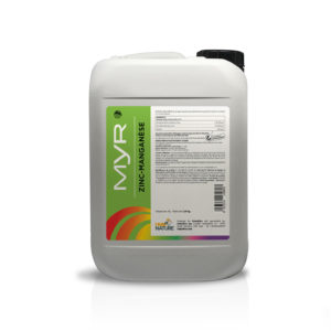 Myr Zinc-Manganèse