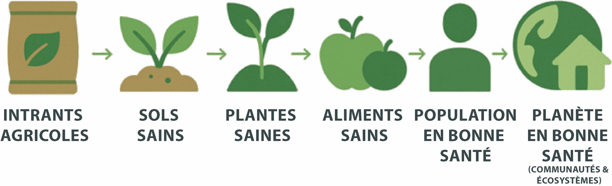 Saluez une vie plus saine - Hello Nature