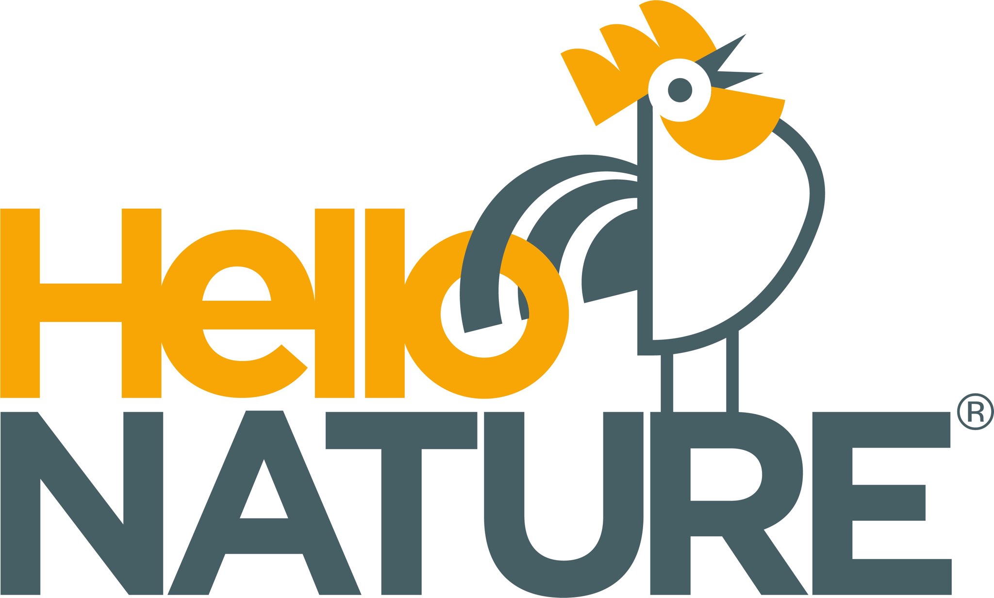 Home Hello Nature International