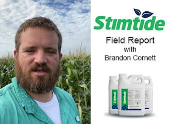 Field Report: Stimtide