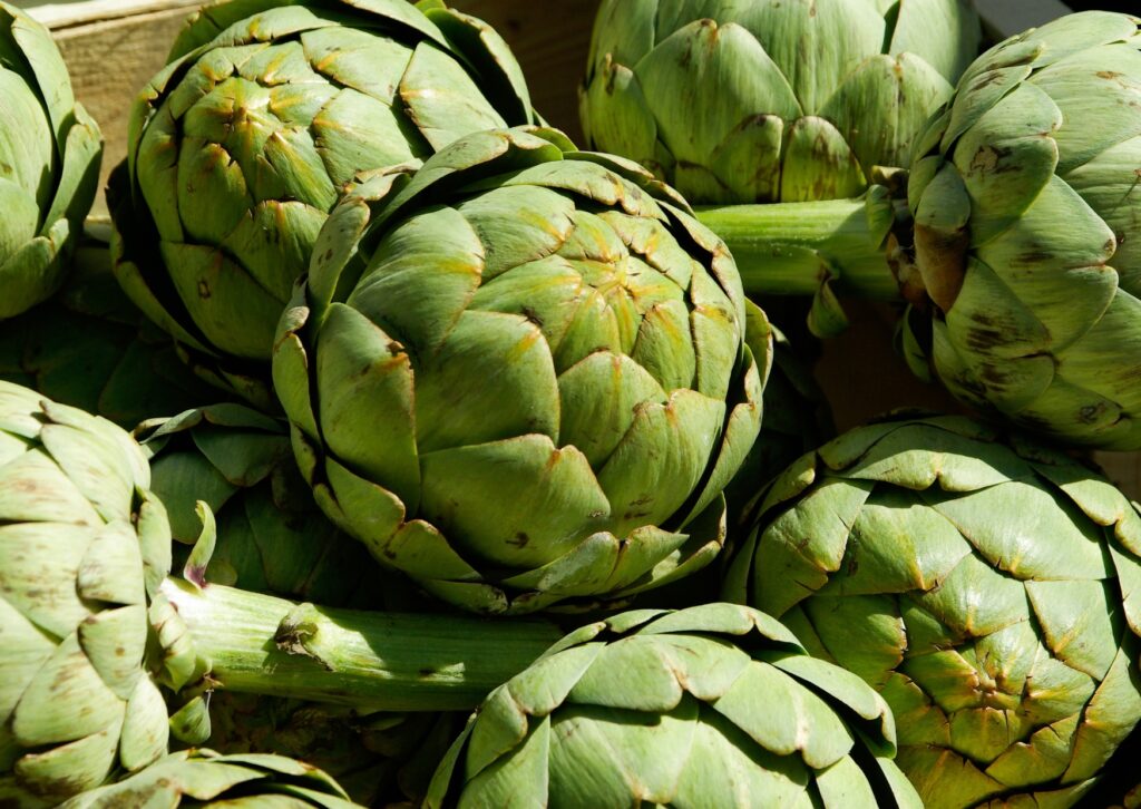 Biostimulants Boost Artichoke Yield