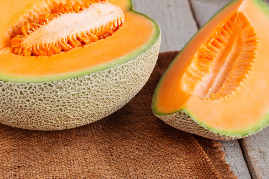 Plant Biostimulants to Boost Cucurbit