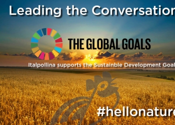 Un ruolo centrale nel dibattito – Obiettivi di sviluppo sostenibile UN