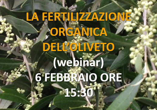 Guida alla fertilizzazione organica dell’oliveto