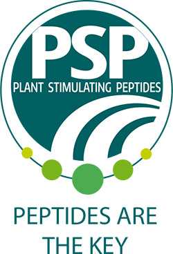 PSP