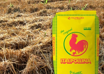 ITALPOLLINA 4.4.4 SU STOCCHI: UNA CONCIMAZIONE ALTERNATIVA