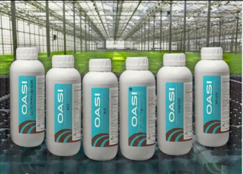 OASI, GLI INNOVATIVI CONCIMI ORGANICI PER FERTIRRIGAZIONE