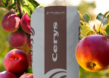 CERYS, Il concime organo-minerale biologico più ricco in potassio