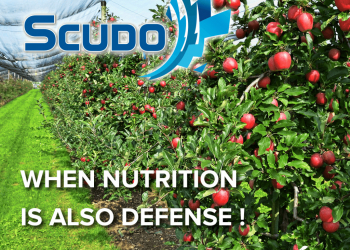 SCUDO, la nutrizione è la prima difesa