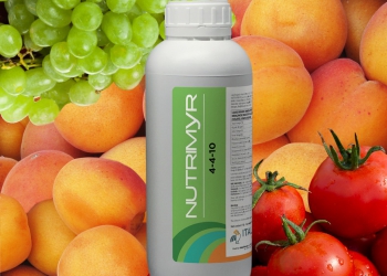 NUTRIMYR NPK 4.4.10: DAI PIU’ QUALITA’ AI TUOI FRUTTI