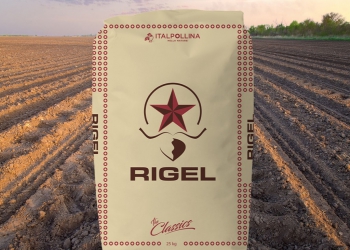 RIGEL, AUMENTA LA FERTILITÀ CHIMICA, FISICA E BIOLOGICA DEL TERRENO