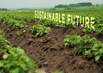 Biostimolanti, il futuro dell’agricoltura?