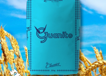 LA CONCIMAZIONE ORGANICA DEL GRANO: PIU’ RESA E QUALITA’