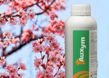 AUXYM in frutticoltura e viticoltura