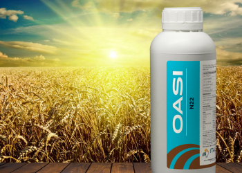 OASI N 22 su grano: l’azoto a 360° di Italpollina