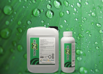 TRAINER : EFFICACE, EFFICIENTE, GENUINAMENTE VEGETALE
