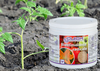 CLICK, il primo biostimolante in pastiglie per vigneti e frutteti