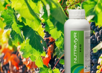 NUTRIMYR: più qualità per i tuoi frutti e grado per le uve