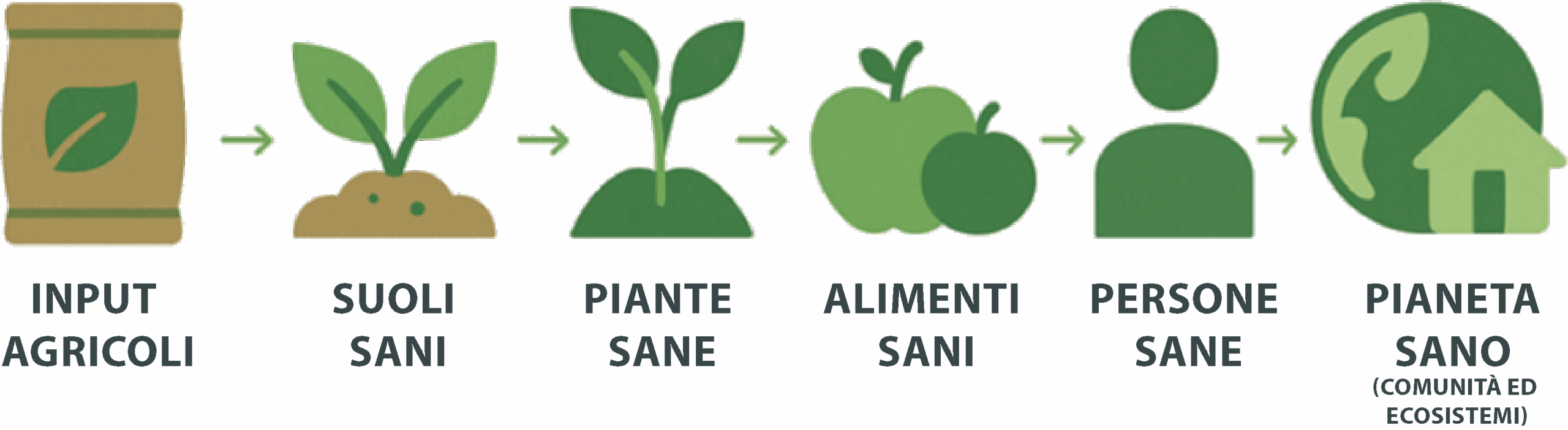 Hello-Nature-schema-health-IT