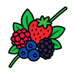 Sugerencia de manejo de productos Hello Nature en berries