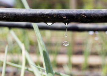 SUSTAINABLE FERTIGATION – NOT JUST FOR ORGANIC FARMERS