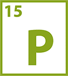 phosphorus
